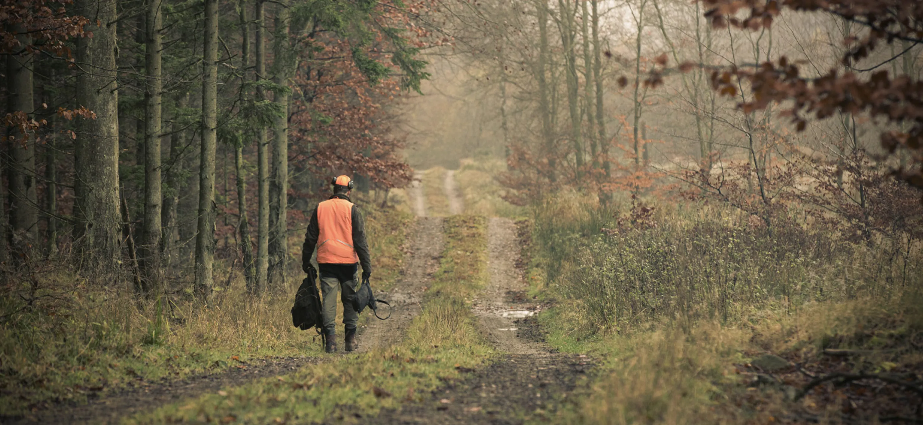 Driven hunt in the heart of Sörmland